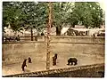 Der alte Bärengraben. Heute haben die Tiere mehr Platz an einem neuen Ort.