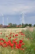 Windräder in Brandenburg