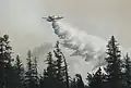 Hier entlässt ein Löschflugzeug seine Wasserladung gerade über dem Brandgebiet.