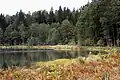In Litauen gibt es viel Wald und viele kleinere und größere Seen