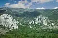 Dieser Bergwald in Kroatien gilt noch als Urwald.