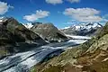 Der Aletschgletscher ist der größte Gletscher Europas und zieht jährlich viele Touristen an.