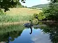 Ebenso wenig wie das Ungeheuer von Loch Ness…