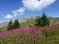 In Montenegro sieht man diesen Gipfel des Gebirges.
