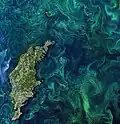 Die ESA erforscht auch die Umwelt auf der Erde: Hier sieht man bei Gotland grüne Algen in der Ostsee.