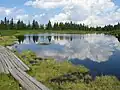 Ein kleiner See in Ribnica in Slowenien
