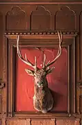 Ein ausgestopfter Hirschkopf mit Geweih als Trophäe, als Zeichen einer erfolgreichen Jagd.