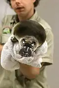Beim Tierarzt