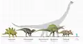 So groß waren einige Dinosaurier, verglichen mit einem Menschen