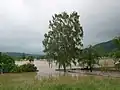 Golmsdorf in Thüringen im Jahr 2013: Die Saale hatte damals Hochwasser.