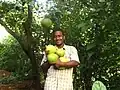 Ein Bauer zeigt stolz seine Pampelmusen.