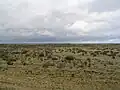 Die weiten Ebenen von Patagonien in Argentinien
