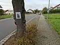 Hier in Tauberbischofsheim wird zum Glück nur eine vermisste Katze gesucht.