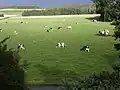 ... sowie Wiesen und Weiden.