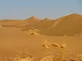 Wüsten können sowohl zu den Tropen als auch zu den Subtropen gehören.