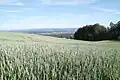 Blick von einem Feld in Kammersrohr am Jurasüdfuss, Kanton Solothurn