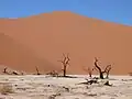 Diese Düne in Namibia ist über 300 Meter hoch.