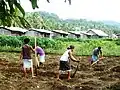 Dies sind Schüler einer Schule für die Landwirtschaft.