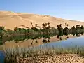 Die Oase Ubari in Libyen, im Norden Afrikas