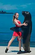 In einem Delfinarium in Russland: Hier wird ein „Tanz“ mit einer Robbe gezeigt.