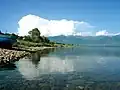 Im Prespa-See gibt es viele Pflanzen, die man sonst nirgends auf der Welt findet.