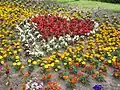 Blumen in verschiedenen Farben bilden ein Herz.