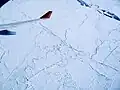 Ein Blick aus dem Flugzeug