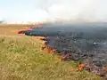 Ein Steppenbrand in Kasachstan