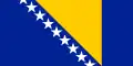Flag of Bosnia and Herzegovina.svg