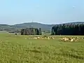 Auf der tschechischen Seite der Grenze