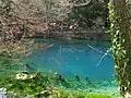 Der Blautopf in Blaubeuren ist eine besonders wasserreiche Quelle.