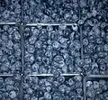 Gezüchtete Kulturheidelbeeren in einer Plastikschale.