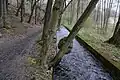 Flößgraben in Thüringen