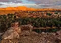Oase in Algerien
