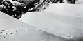 Im Jahr 1952 im Himalaya: Diese angeblichen Yeti-Spuren sind von einem Bären.