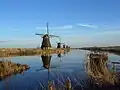 Windmühlen in Kinderdijk bei Rotterdam in den Niederlanden. Damit wurde früher Wasser abgepumpt.