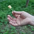 Daumen und Zeigefinger halten einen Zahnstocher mit einem Stück Käse.