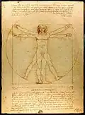 Eine berühmte Zeichnung von Leonardo da Vinci aus dem 15. Jahrhundert