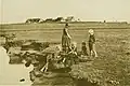 Ein altes Foto aus dem Jahr 1895: Es zeigt Kinder auf der Hallig Oland.