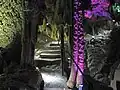Im Kanton Zug kann man auch eine Tropfsteinhöhle besichtigen, die Höllgrotten.
