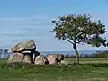 Ein Hünengrab bei Rerik: Im Bundesland gibt es über 1000 Anlagen großer Steine aus der Steinzeit.