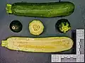 Eine Zucchini von innen