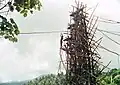 Aus Vanuatu stammt das Bungeespringen. Die Springer sind nur durch Lianen gesichert.