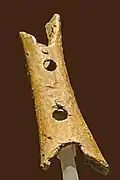 Der Rest einer Flöte aus der Steinzeit, aus einem Knochen geschnitzt