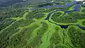 Flusslandschaft im Nationalpark Anavilhanas
