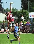 Bei diesem Frisbee-Wettbewerb in den Niederlanden treten zwei Teams gegeneinander an.