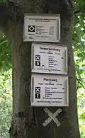 Hier markieren weiße Andreaskreuze einen Wanderweg.