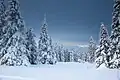 Im Winter wird es im Ural ziemlich kalt.
