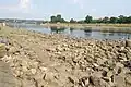 Niedriges Wasser im Fluss Elbe