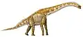 Eine Unterart: der Giraffatitan